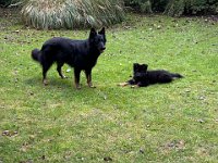 Qitan und klein Qiu